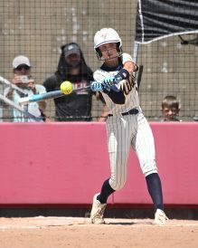 article image - Barnyak hitting
